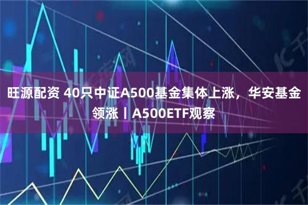 旺源配资 40只中证A500基金集体上涨，华安基金领涨丨A500ETF观察