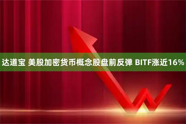 达道宝 美股加密货币概念股盘前反弹 BITF涨近16%