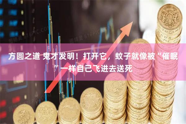 方圆之道 鬼才发明！打开它，蚊子就像被“催眠”一样自己飞进去送死