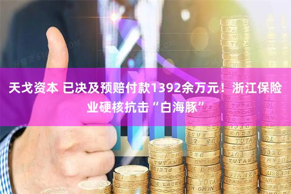 天戈资本 已决及预赔付款1392余万元！浙江保险业硬核抗击“白海豚”